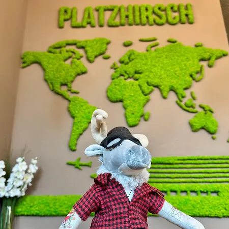 Platzhirsch Living 켈스테르바흐